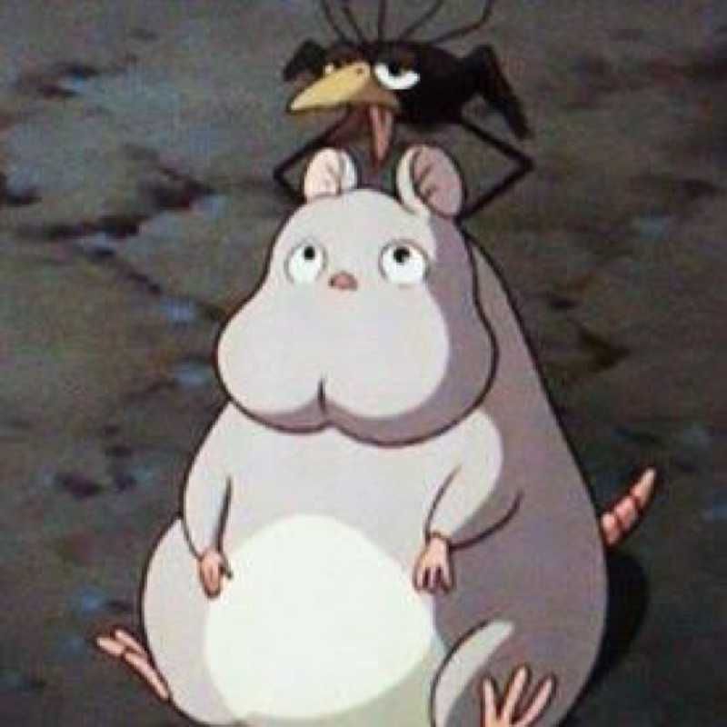 純ちゃん
