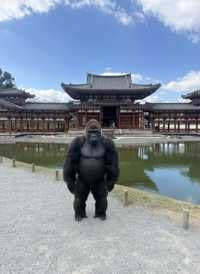 ユーザーアイコン