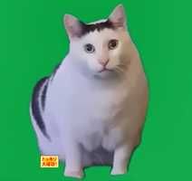ニャンゴスタル