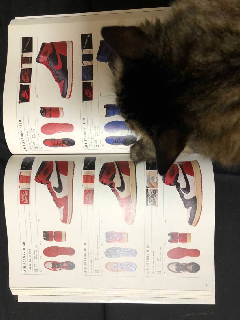 さて勉強でもするか🐈

なるほどオリジナルはコリア製か🤔