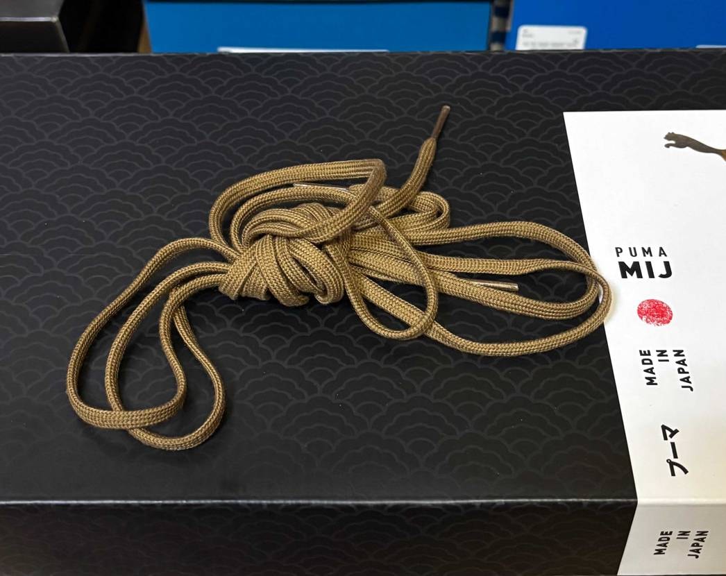 このデフォ紐と同じ色味はキャメルでなくライトブラウンの方が近い気がする🤔