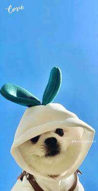 かちゃん
