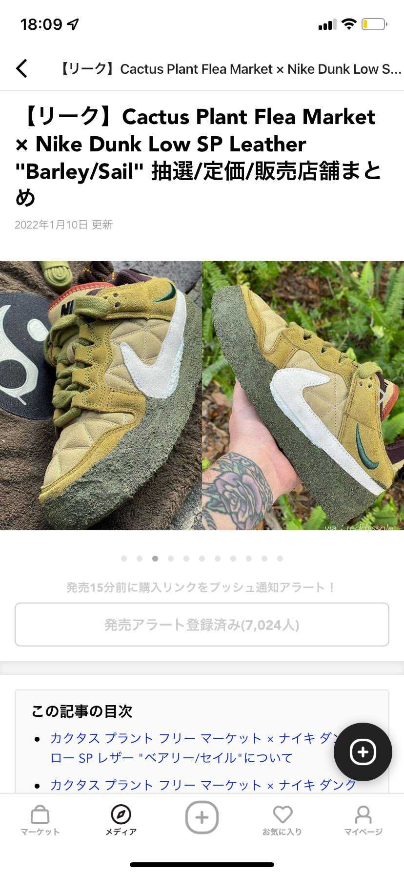 これってなにか情報新しく入りましたか？