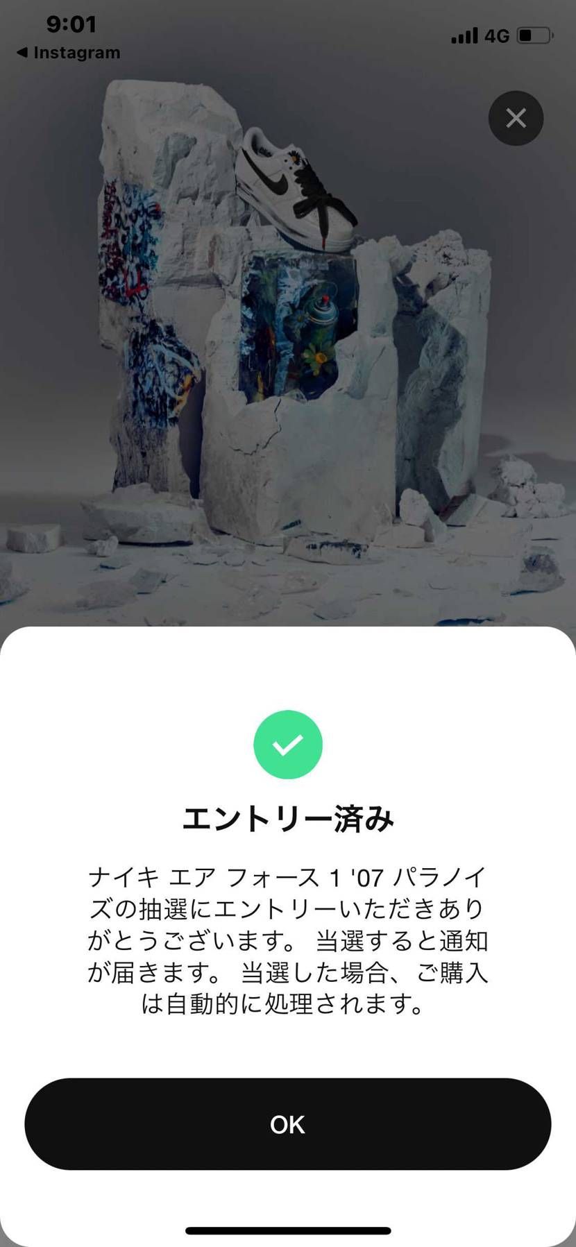 SNKRS初めて2年弱、今までなかった大物がGOT‘EMやっ
