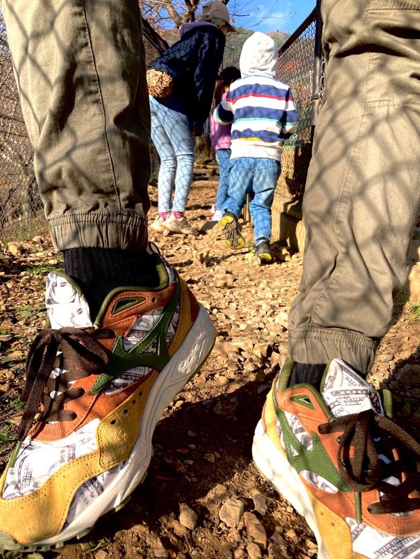 今日スニ。
MIZUNO Contender

勤労感謝の日だと言うのに朝