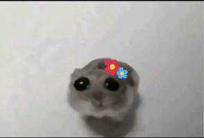 翔太郎¨̮