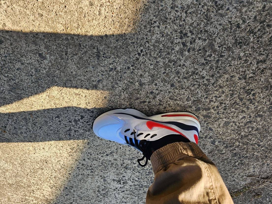 イエグラをビッグバブルと2020今月GETしても飽き足らず半