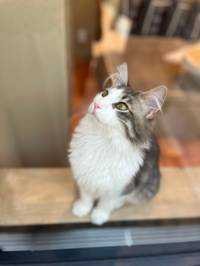 ユーザーアイコン