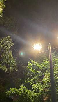2005 / 熊本