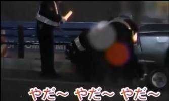 翔月