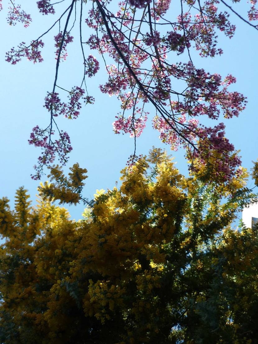 大活躍の季節🍵🛹
履いてる人を街で全くお見かけしないのです