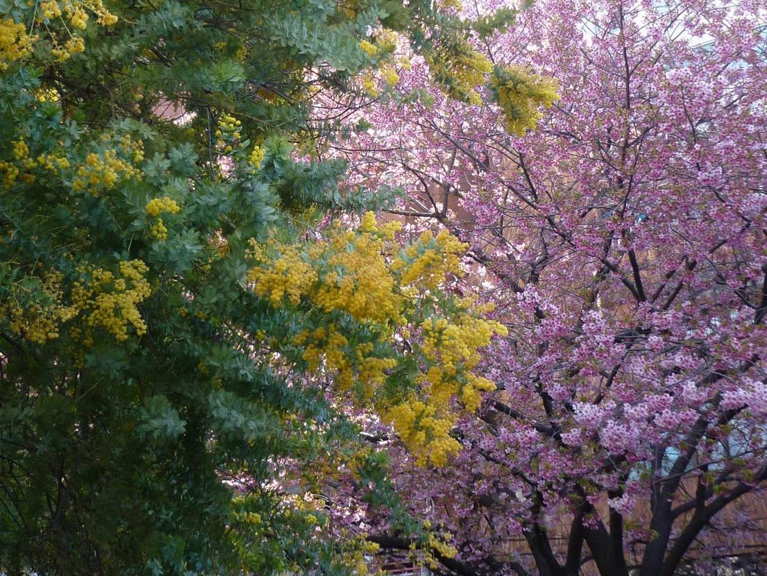 大活躍の季節🍵🛹
履いてる人を街で全くお見かけしないのです