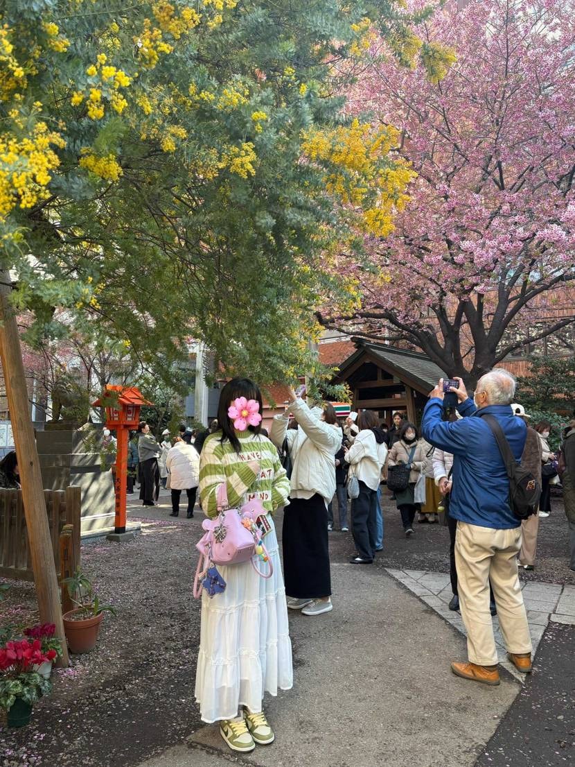 大活躍の季節🍵🛹
履いてる人を街で全くお見かけしないのですが、私的ちょー可愛な