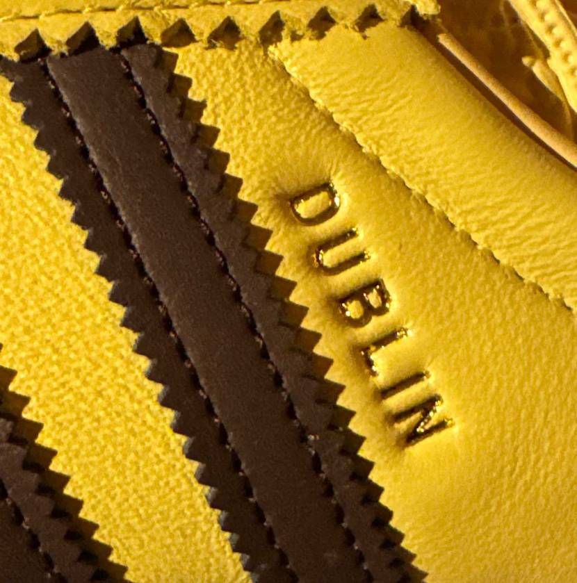 🇮🇪🍻🎸✨☺️