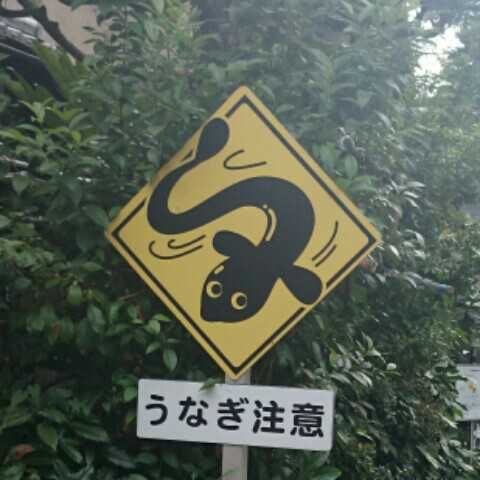 トシ