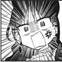 hayamaton X