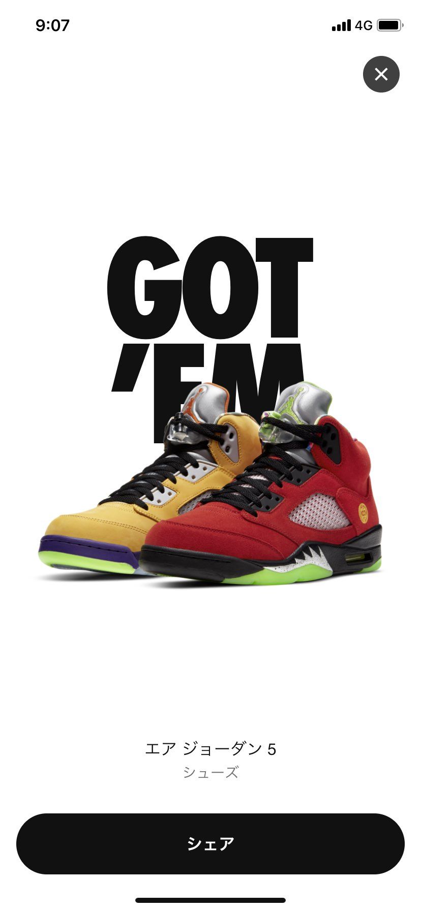 エアジョーダン5