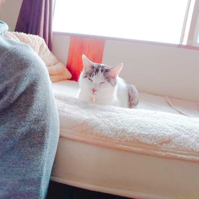 ユーザーアイコン