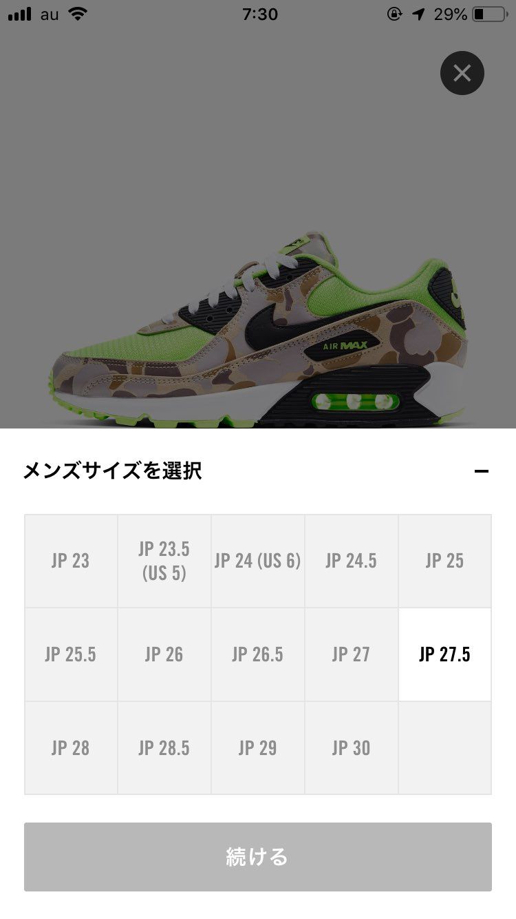 リスしてますよ🐿