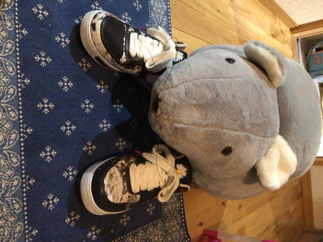 この子が今日から家にきました🐭安売りしてて子供がつれてきた😎