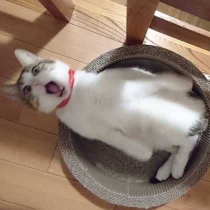 ユーザーアイコン
