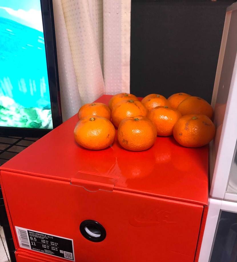 ここに置いてたら食べ忘れて腐ることはないな😤