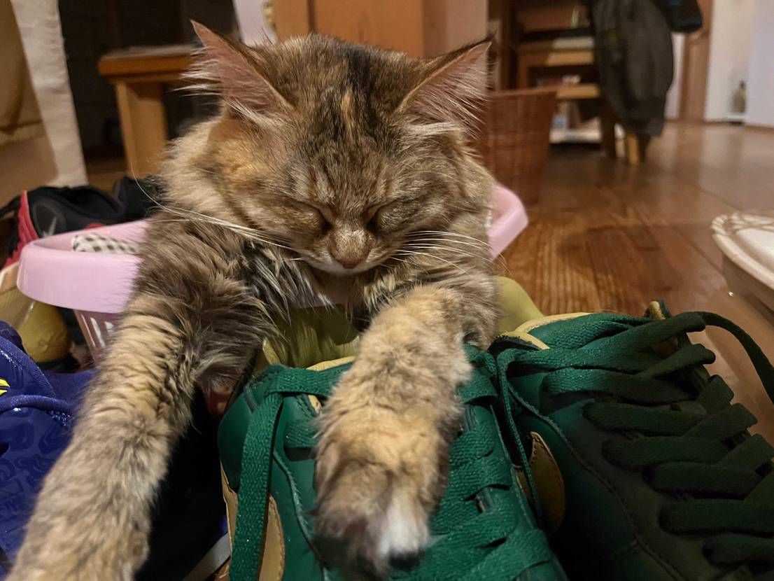 AF1好きっぽい笑笑