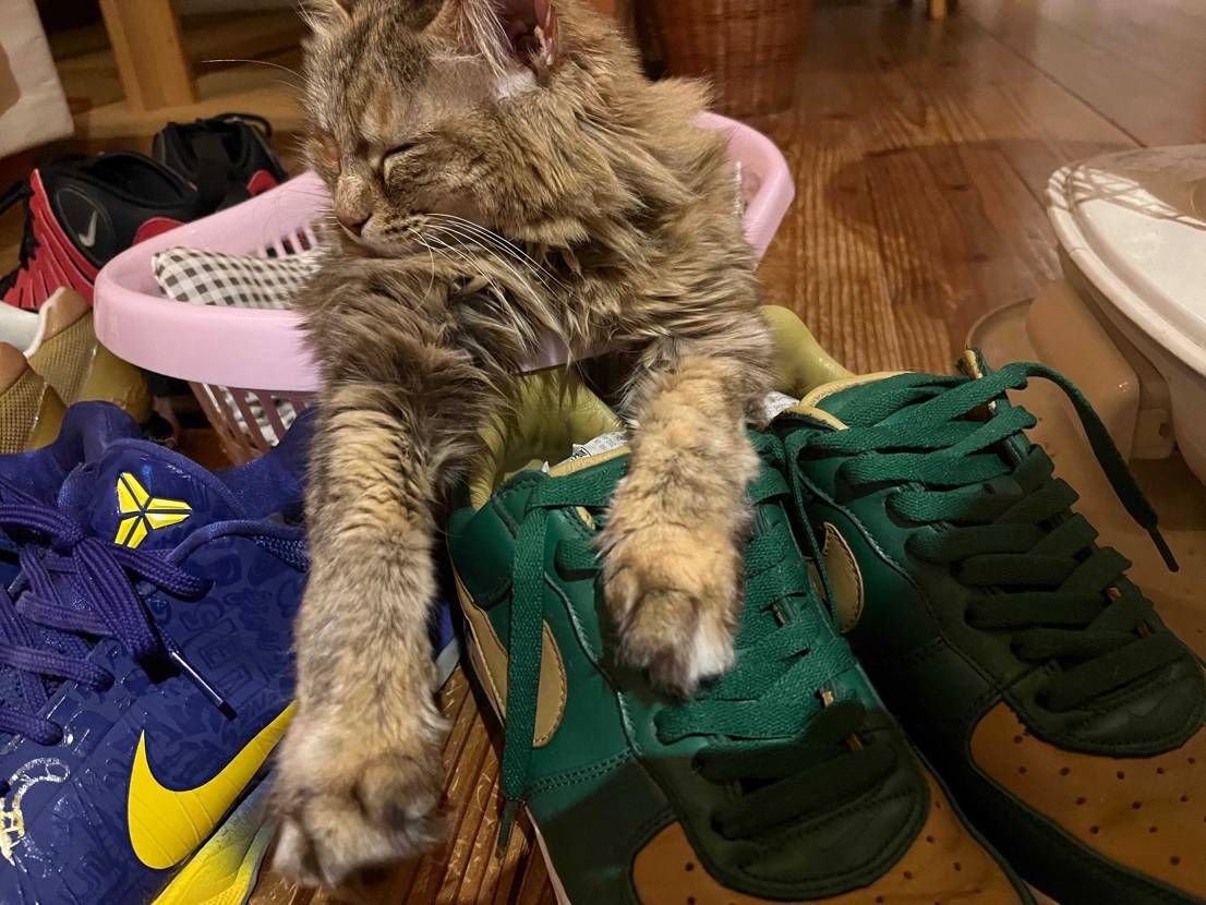 AF1好きっぽい笑笑
