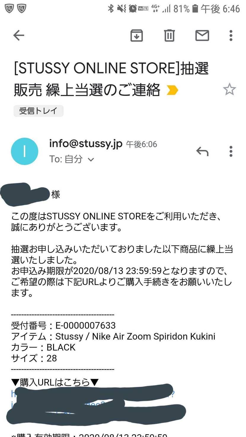 STUSSYの繰上当選のメールきたw
まだ残ってるんだな
白あるし、もう熱さめて
