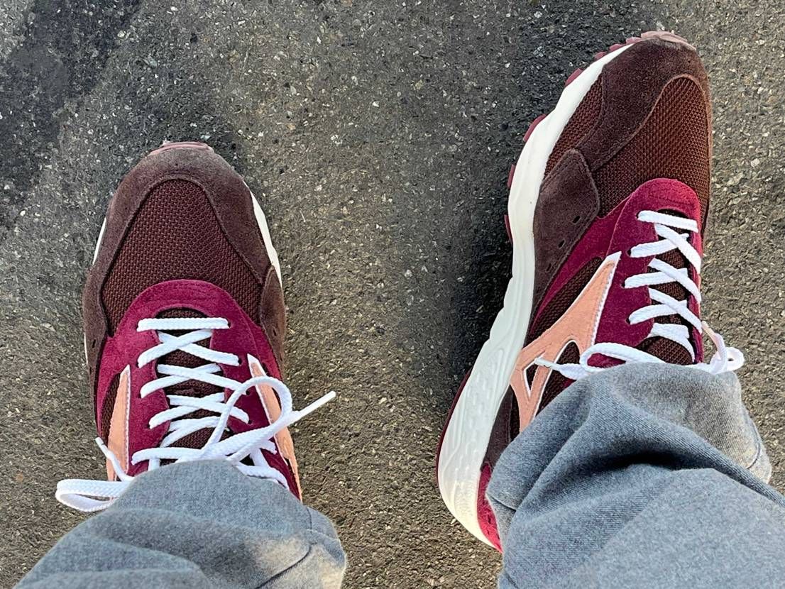 ブラウン/ボルドーのcontenderです。amazonセールで購入しましたが、