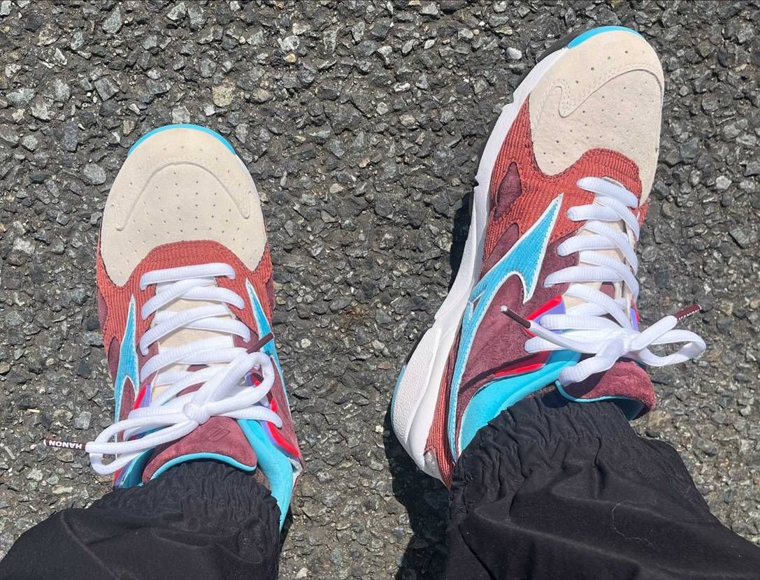 ようやく花見日和か