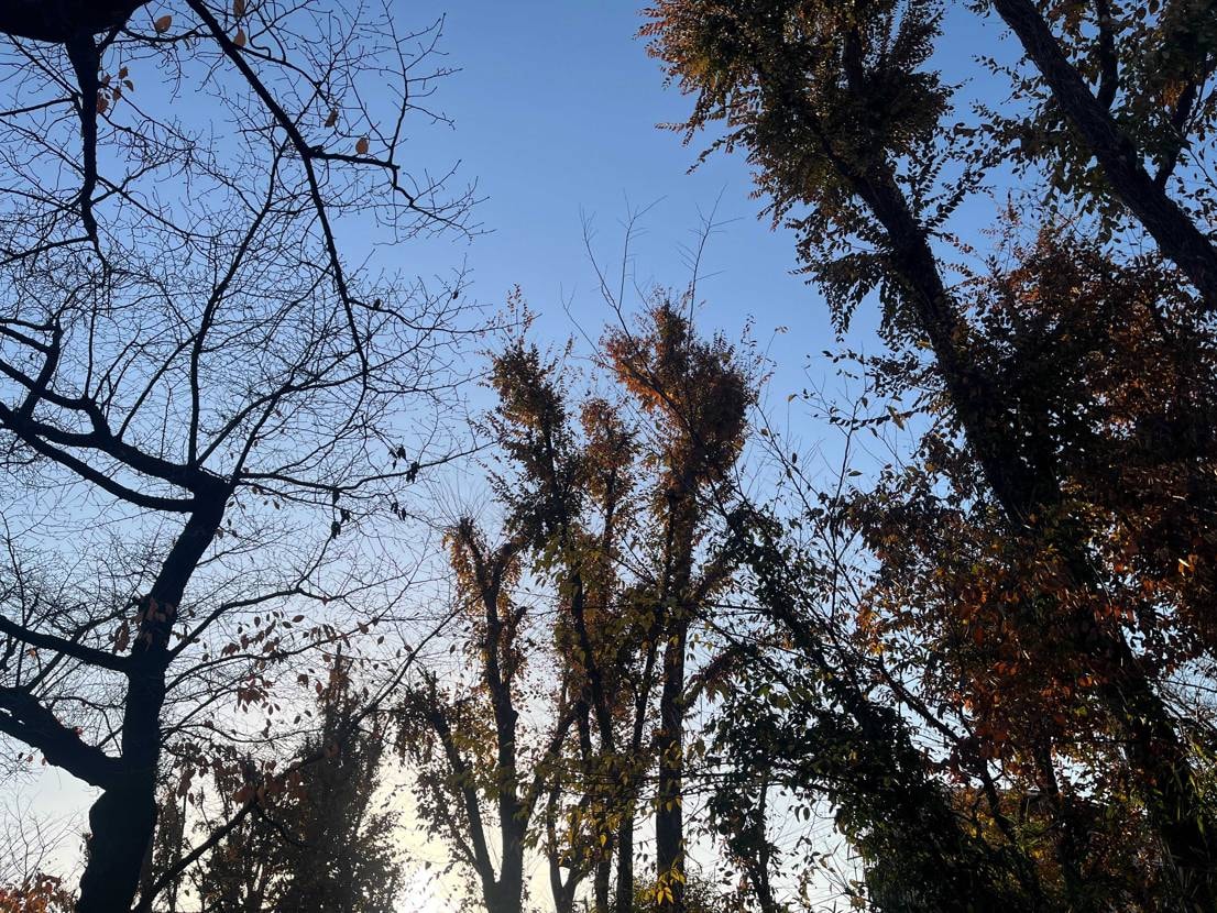 朝散歩gel3
澄んだ空気が最高です。