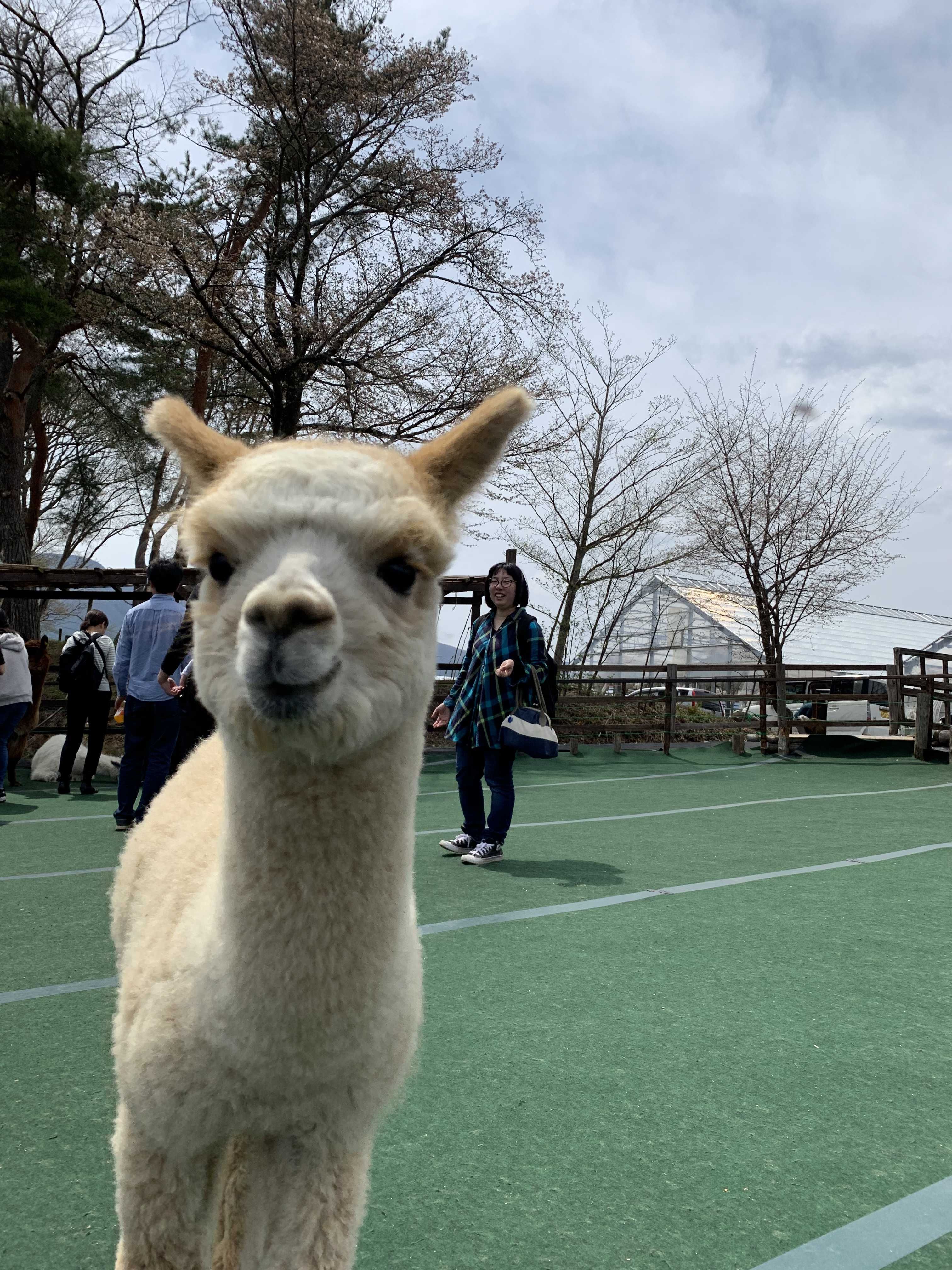 ユーザーアイコン