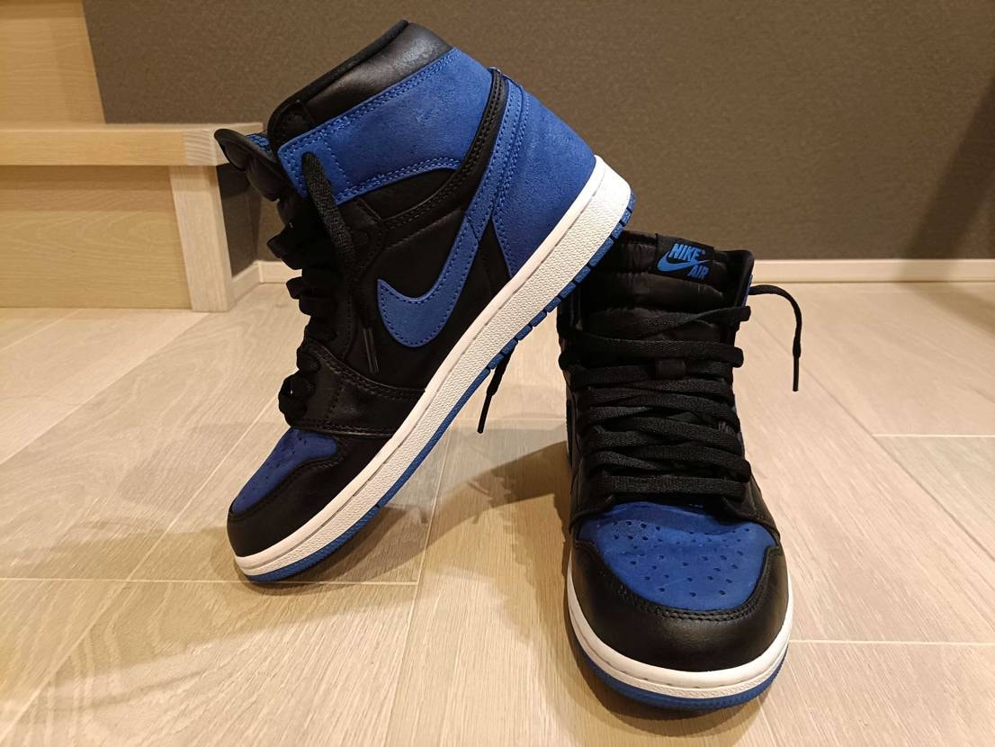 これはこういう遊びをしろってことだったのかナイキさん
結構