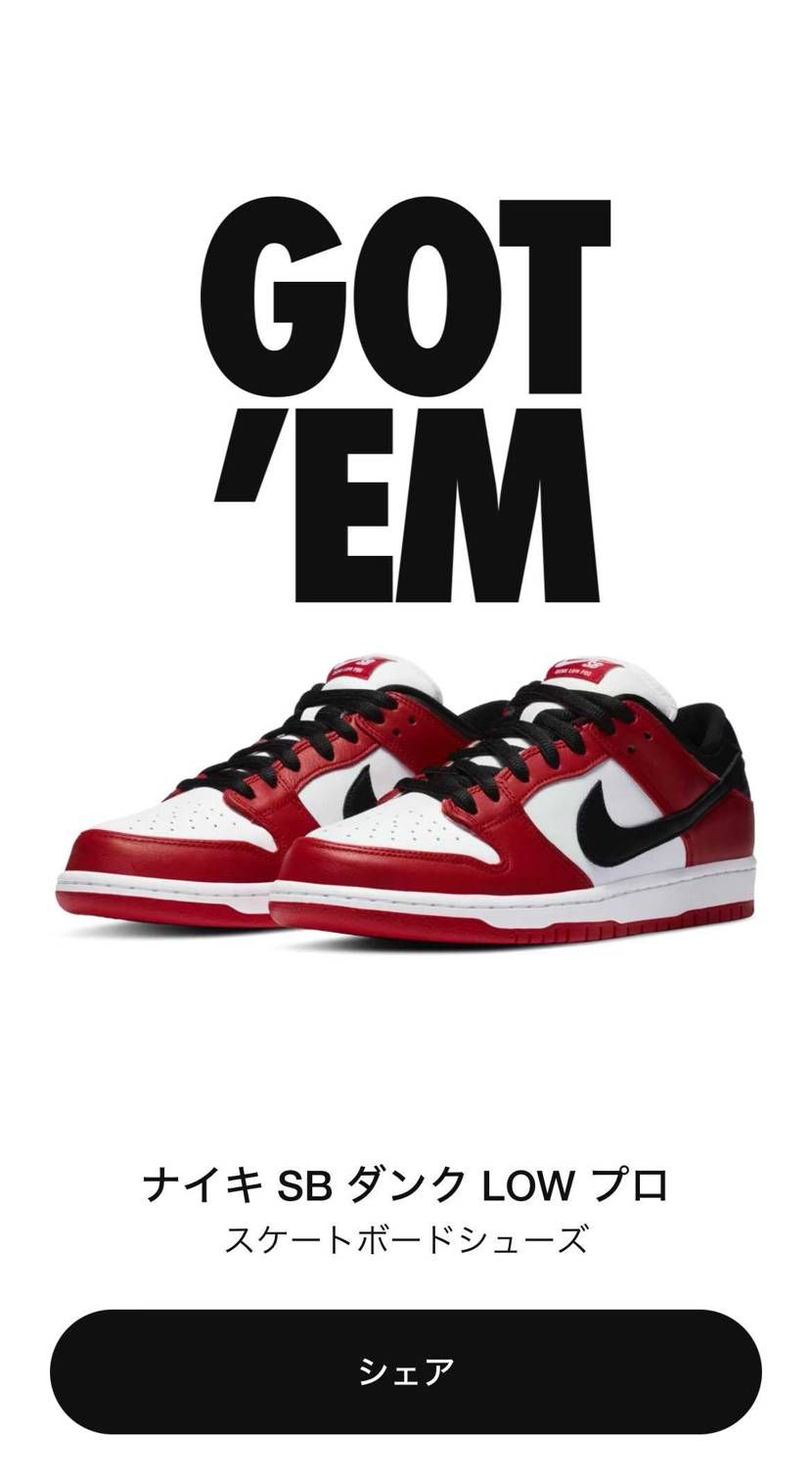 Nike SB Dunk Low Pro "J-Pack Chicago/Var