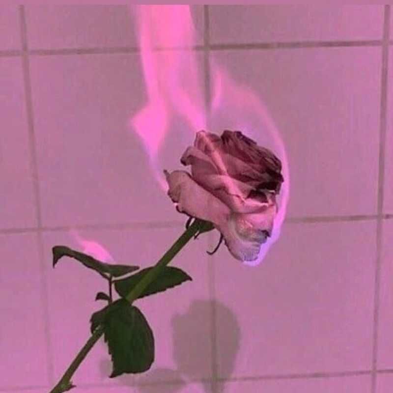泰樹?