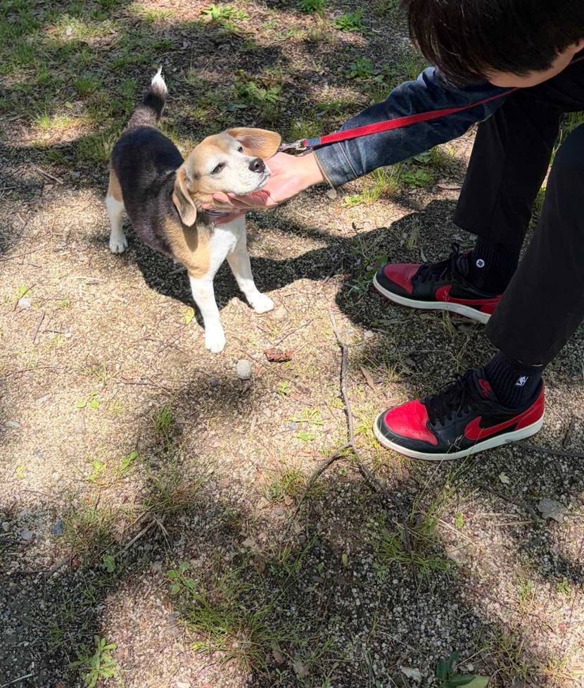 2026年と2016年
10年で犬も人間も老けたけど、せめてスニーカーだけでも