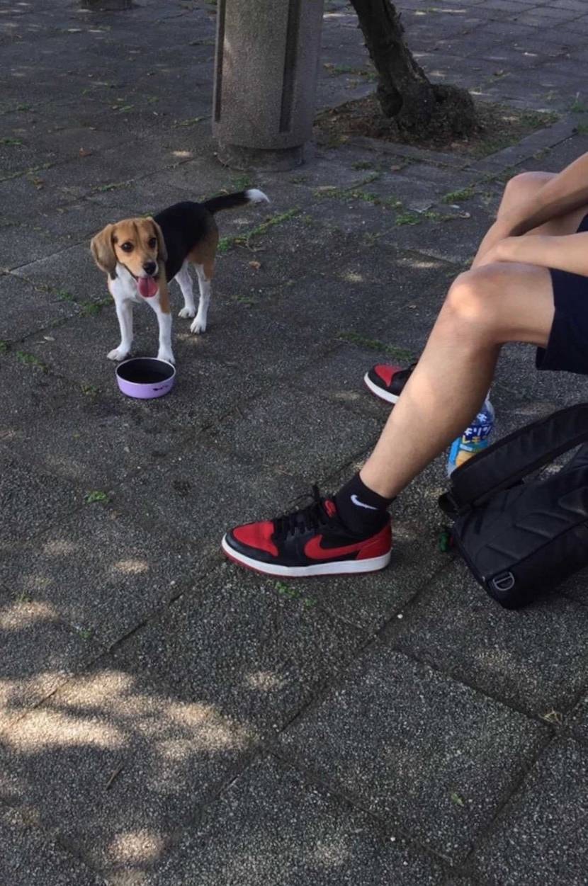 2026年と2016年
10年で犬も人間も老けたけど、せめ
