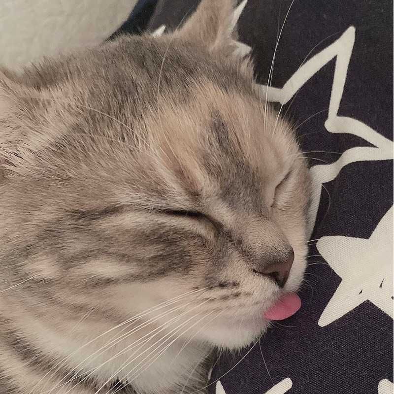 うに