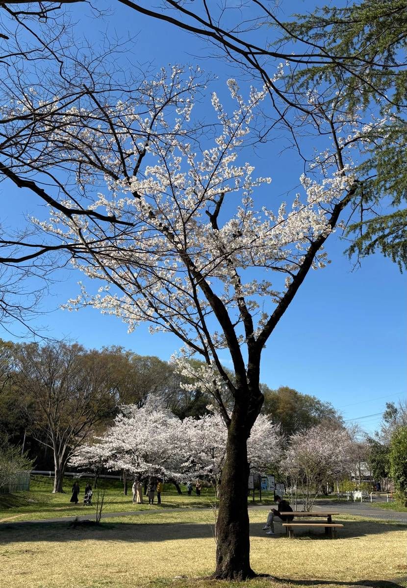 今日はダナー慣らしの地元散歩。
天気も良く気持ち良いですね
