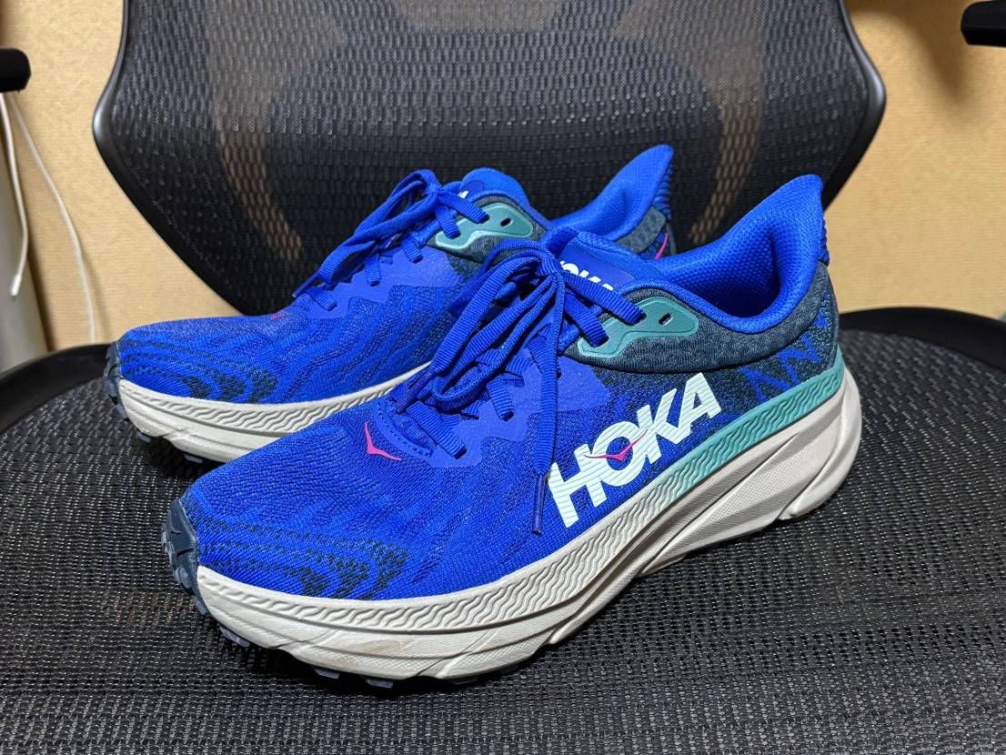 ラン、犬散歩用にHOKAチャレンジャー。
ちょっと前に買っ