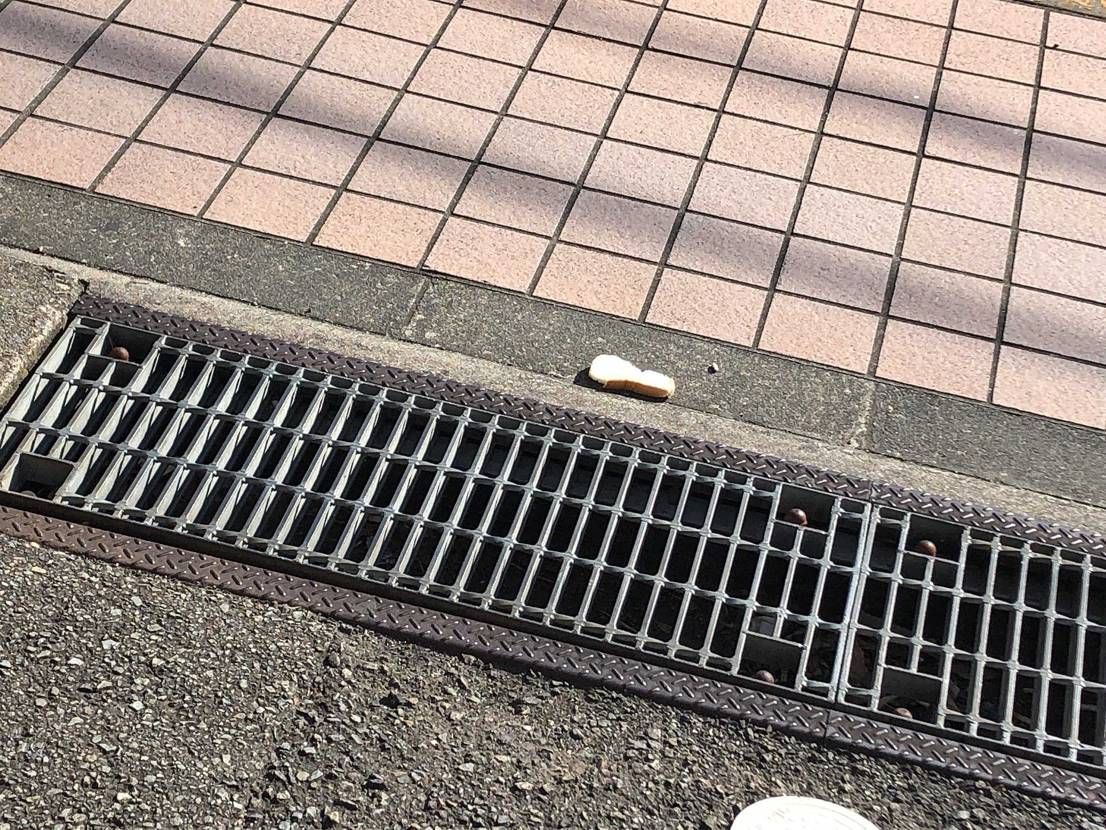 夕飯の食材を買いに行こうとマンションを出たところ、食パンが落ちてました。気づかな