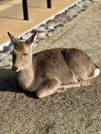 てと