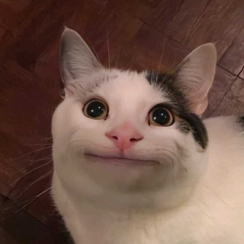 miso