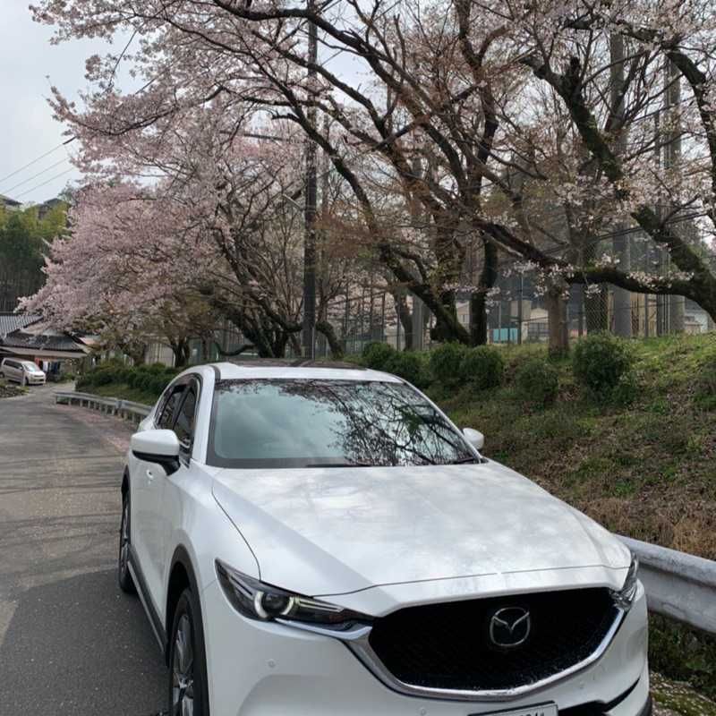 Daisuke