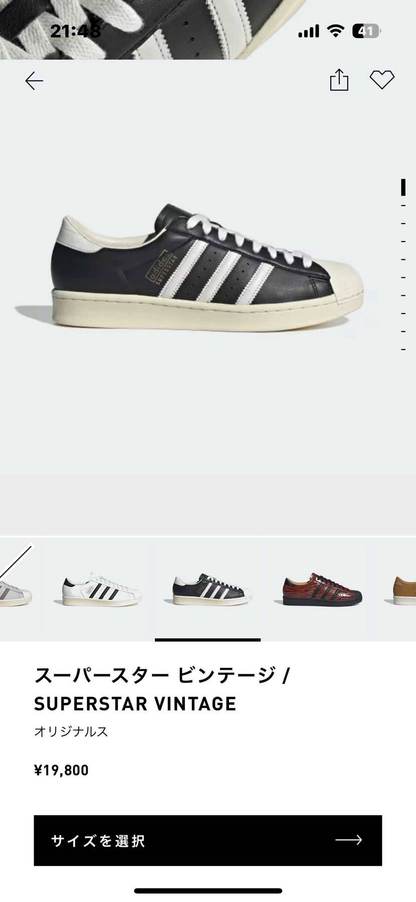 黒も🐿️きてるね