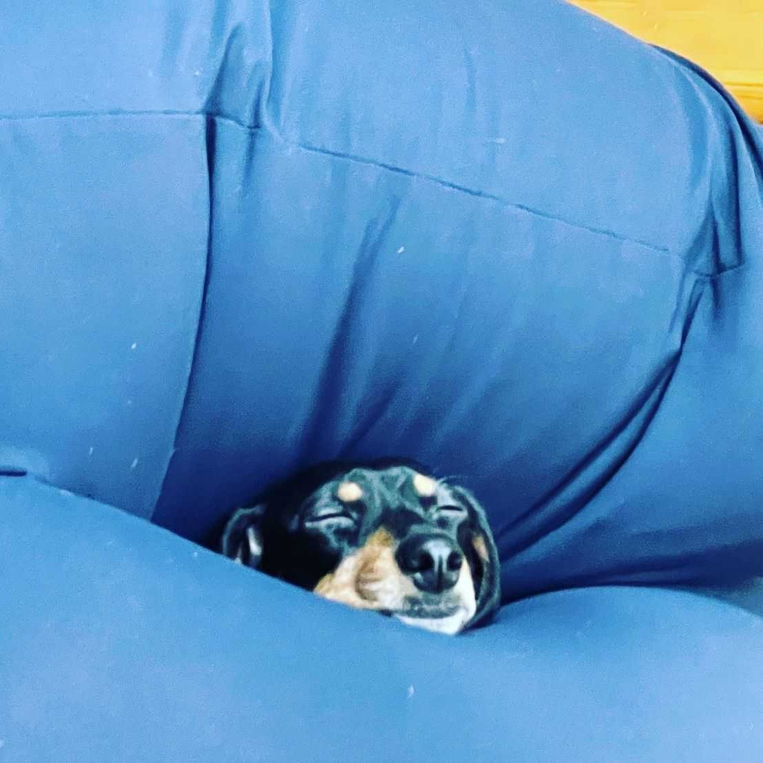 むたろう