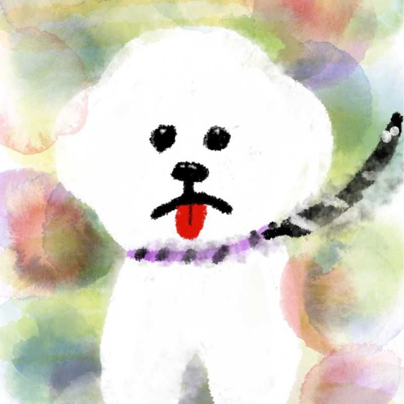 ヒデ坊(出品者)