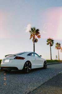 Kota(出品者)