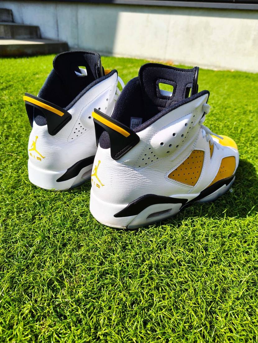 芝に映える

#AJ6